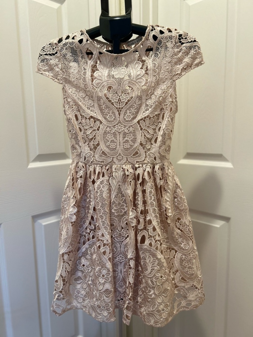 Alice + Olivia Blush Pink Lace Mini Dress